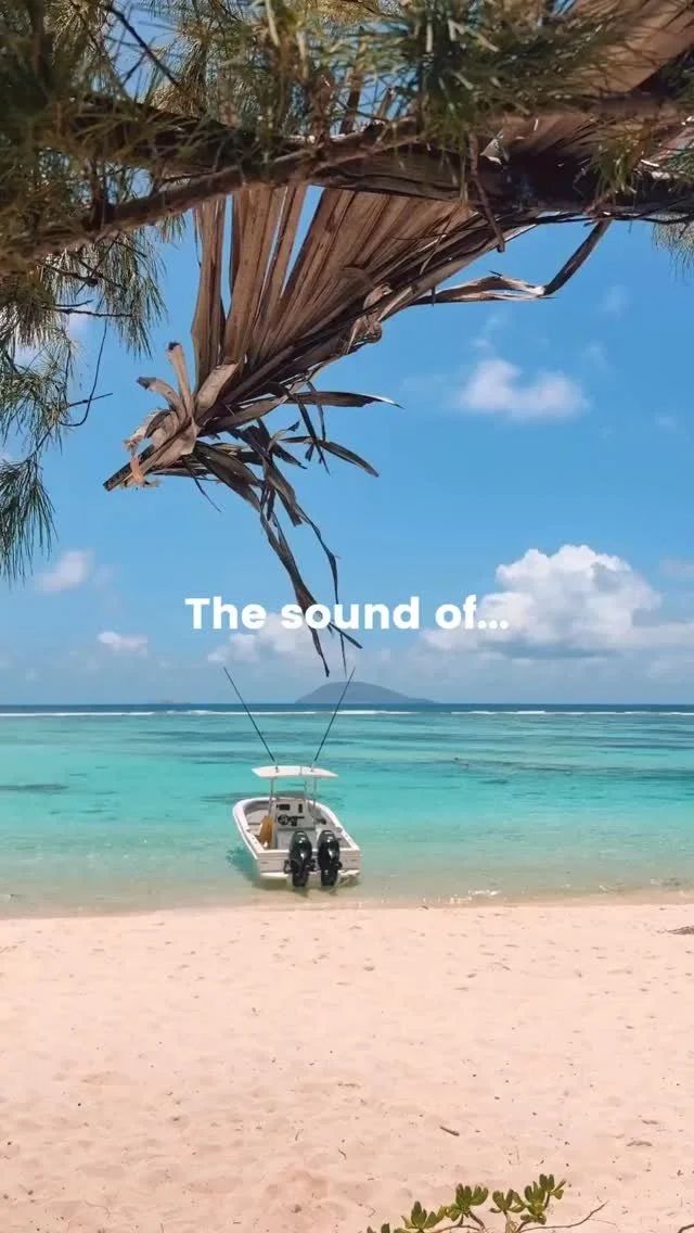 Turquoise sea and a white motor boat seen under palm fronds, with the caption The sound of